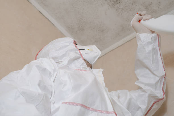 Best Mold Testing  in Canby, MN